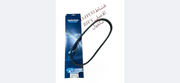 2CHAT BWS DAYCO ORIGINAL- قشاط BWS دايكو اوريجنال