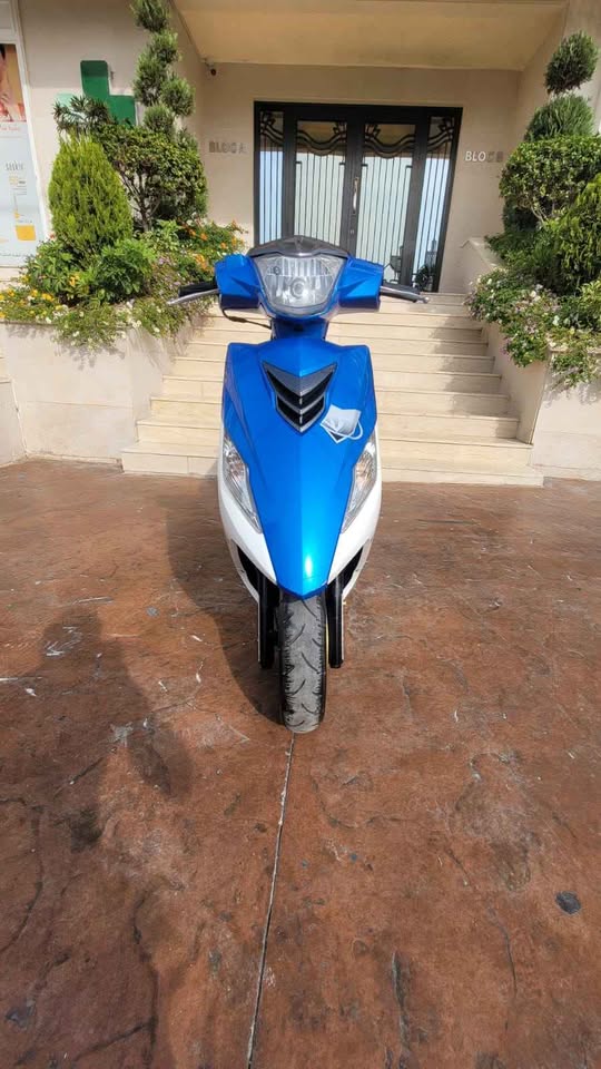 BUY LINDY-لندي للبيع