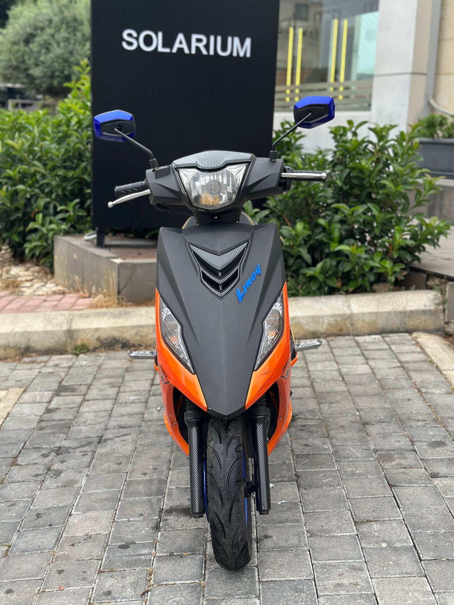 BUY LINDY-لندي للبيع