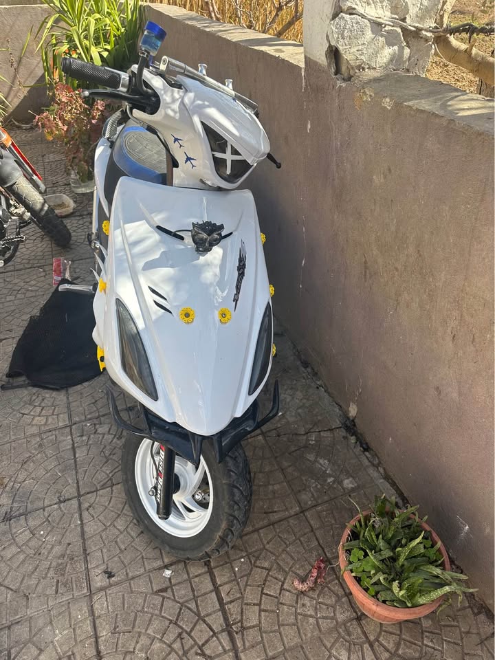 BUY V150