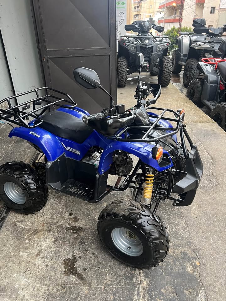 BUY ATV 110CC