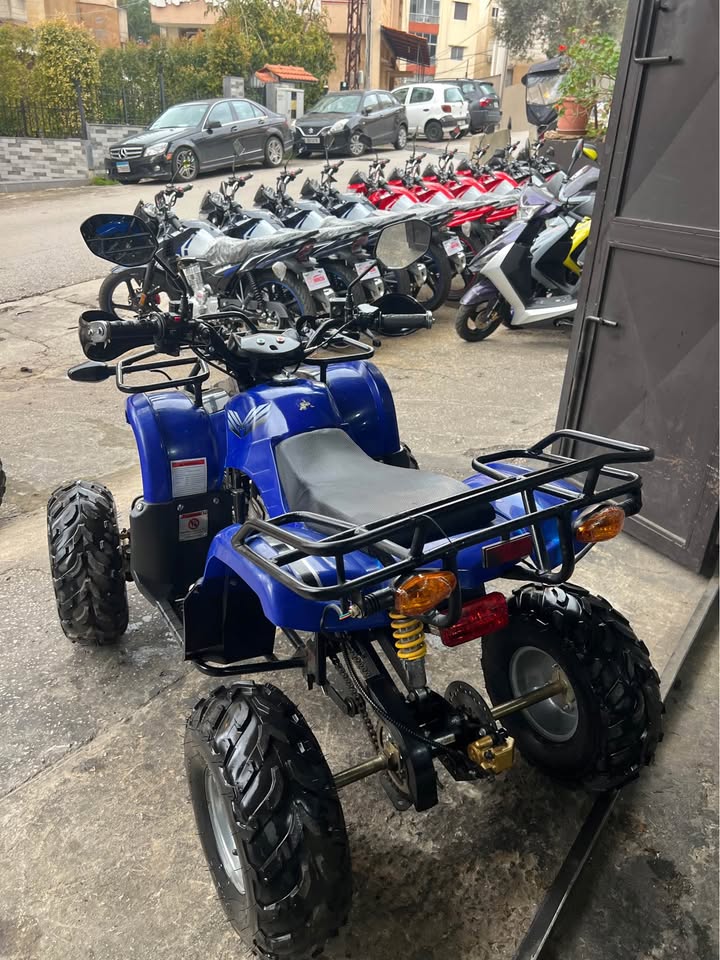 BUY ATV 110CC