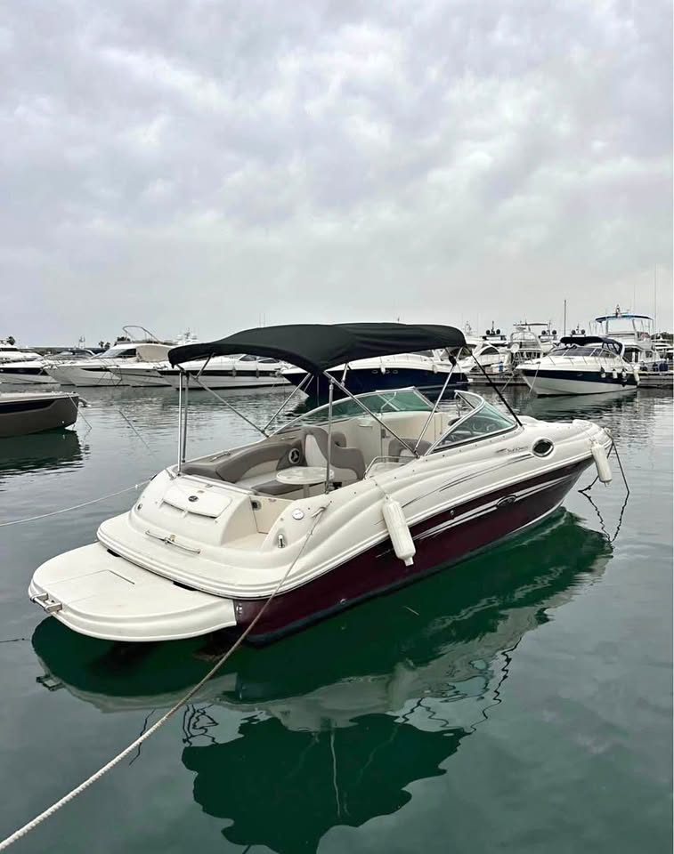 BOAT SEA RAY FOR SALE