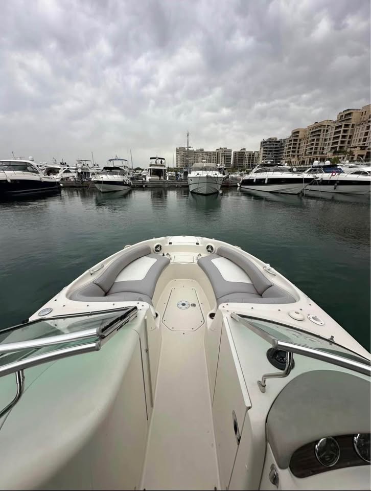 BOAT SEA RAY FOR SALE
