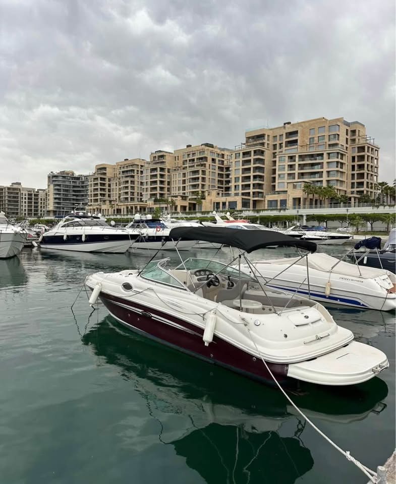 BOAT SEA RAY FOR SALE