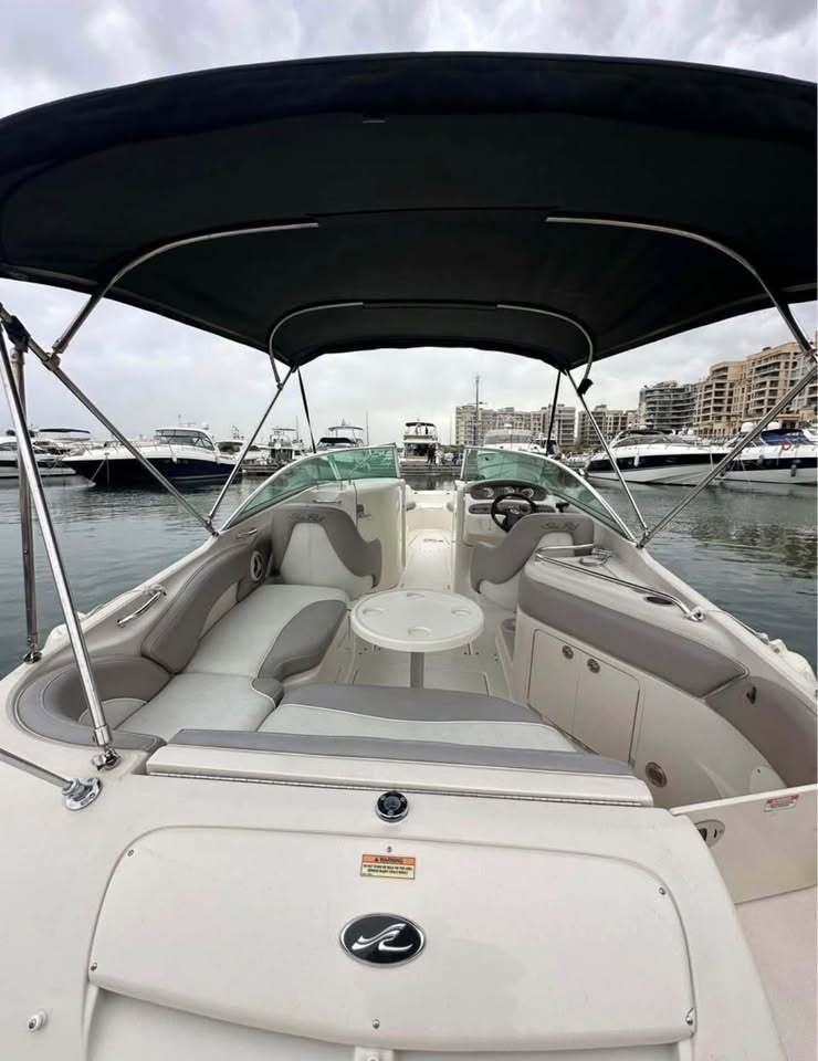 BOAT SEA RAY FOR SALE