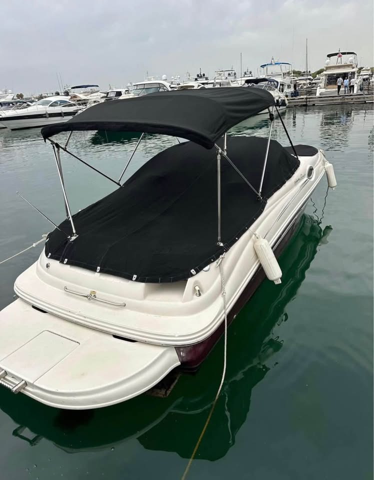 BOAT SEA RAY FOR SALE