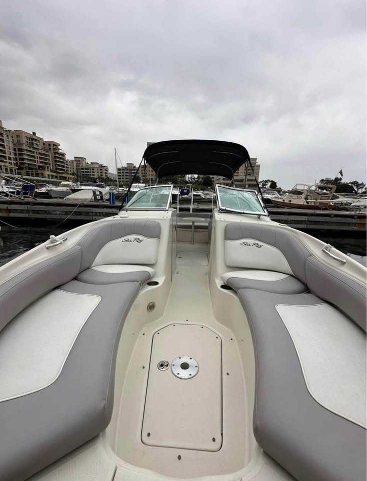 BOAT SEA RAY FOR SALE