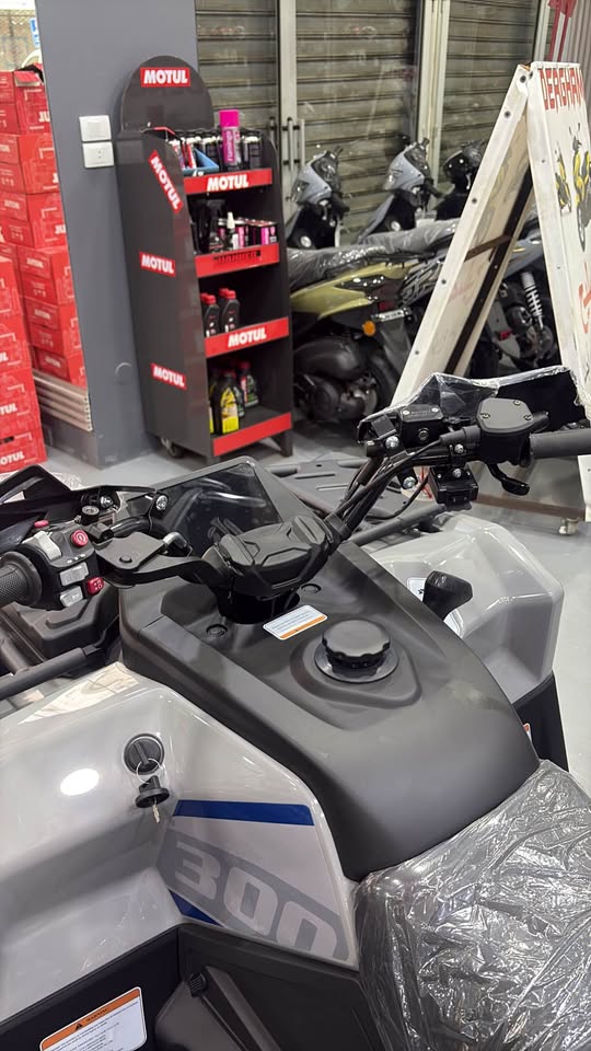 ATV 300CC