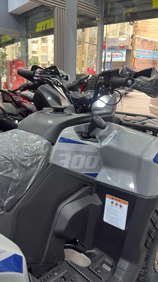 ATV 300CC