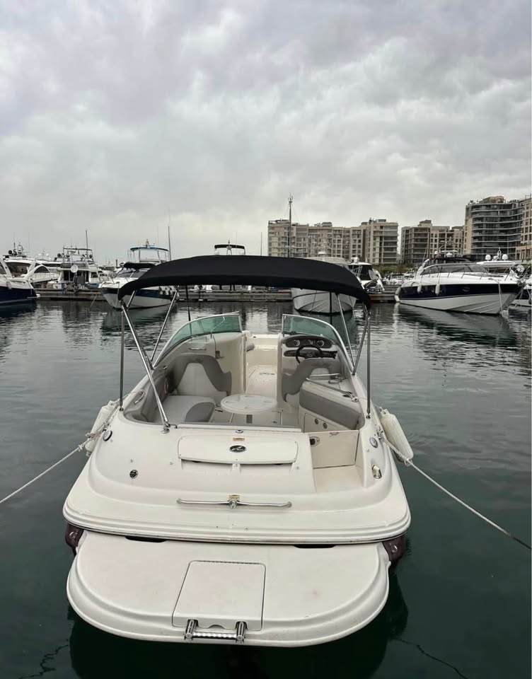 BOAT SEA RAY FOR SALE