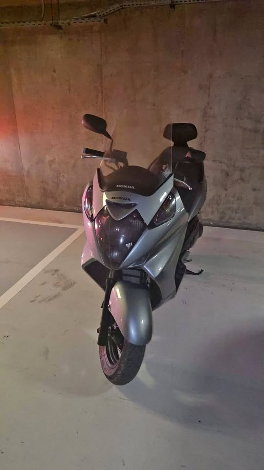 BUY SILVERWING