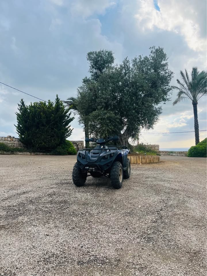 ATV 300CC 4*4
