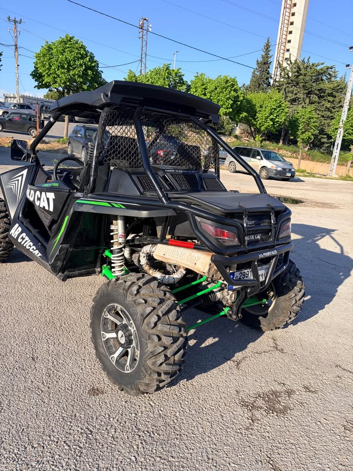 BUY WILDCAT 1000