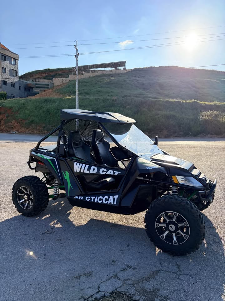 BUY WILDCAT 1000