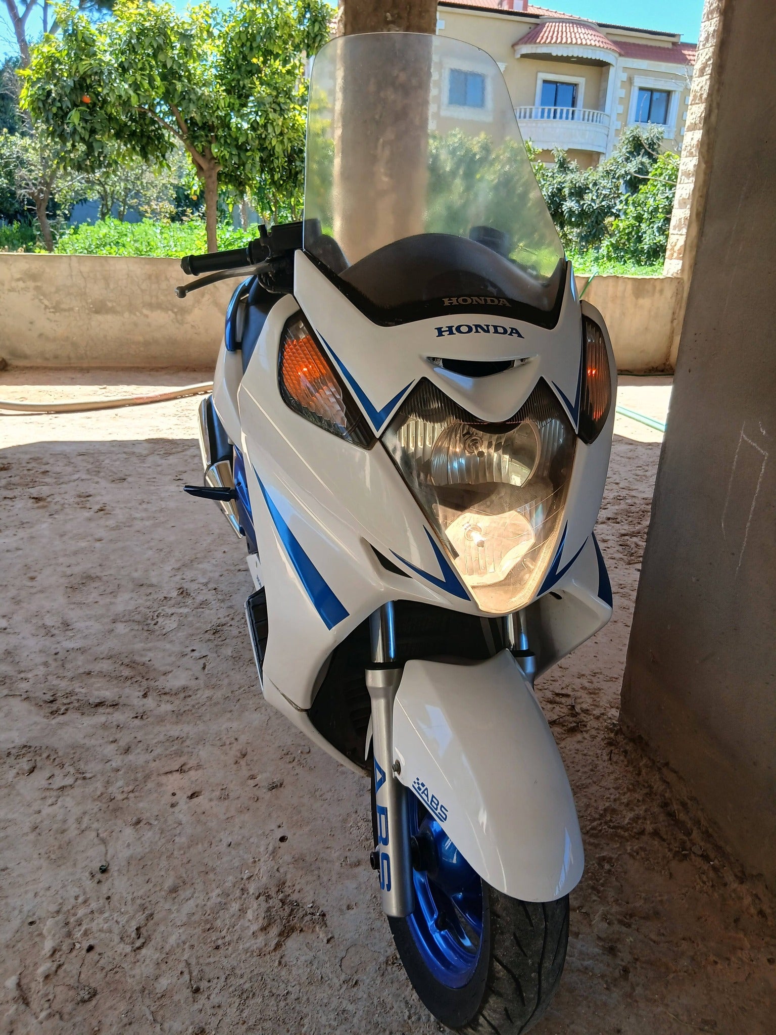 BUY SILVERWING