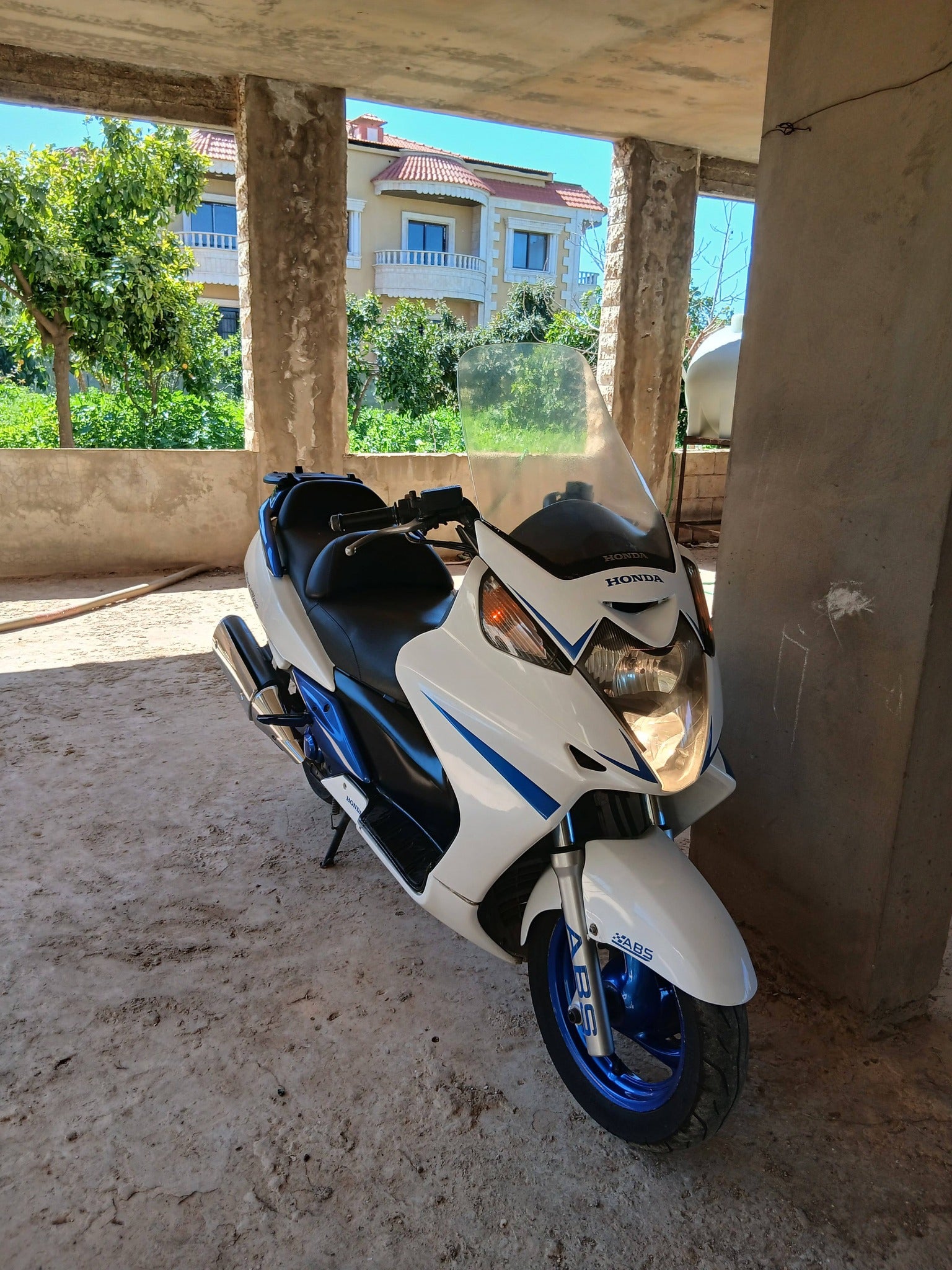 BUY SILVERWING