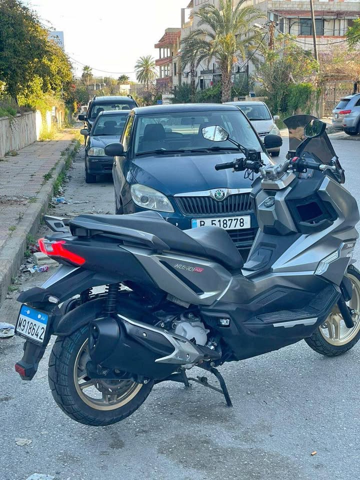 BUY SYM HUSKY 300