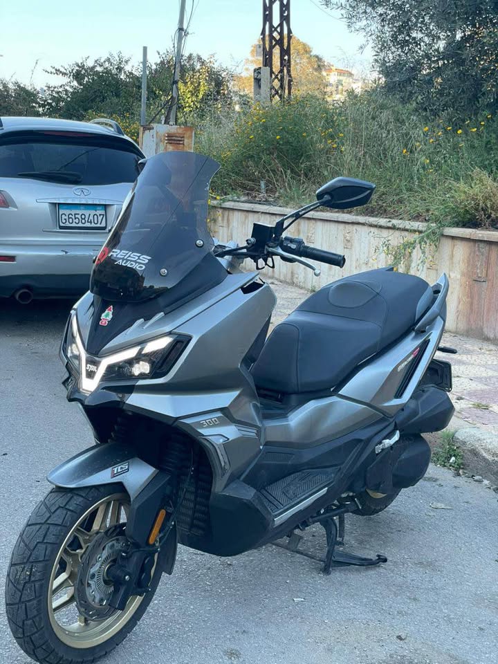 BUY SYM HUSKY 300