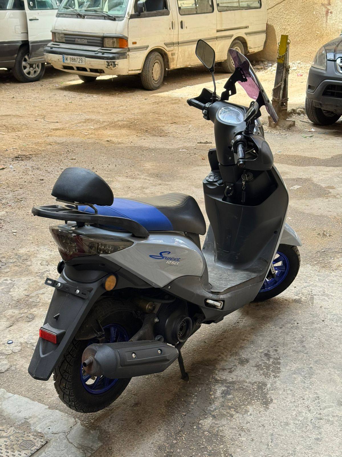 SWEET AKKAD FOR SALE