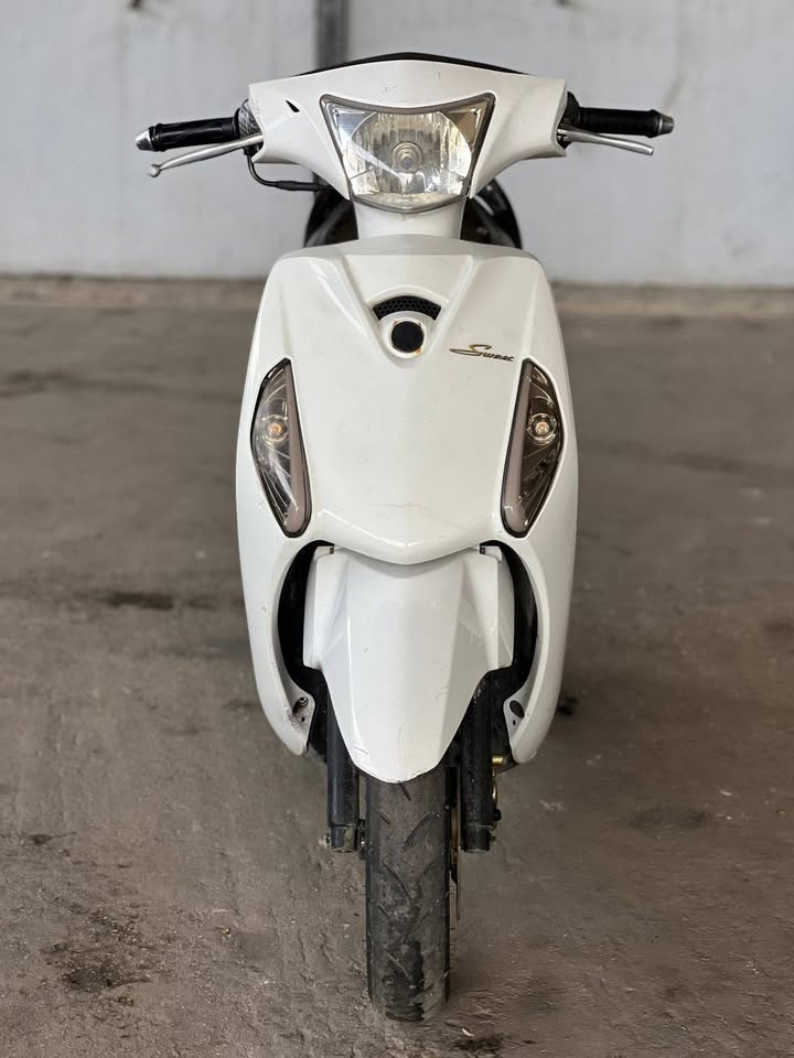 SWEET AZZO FOR SALE