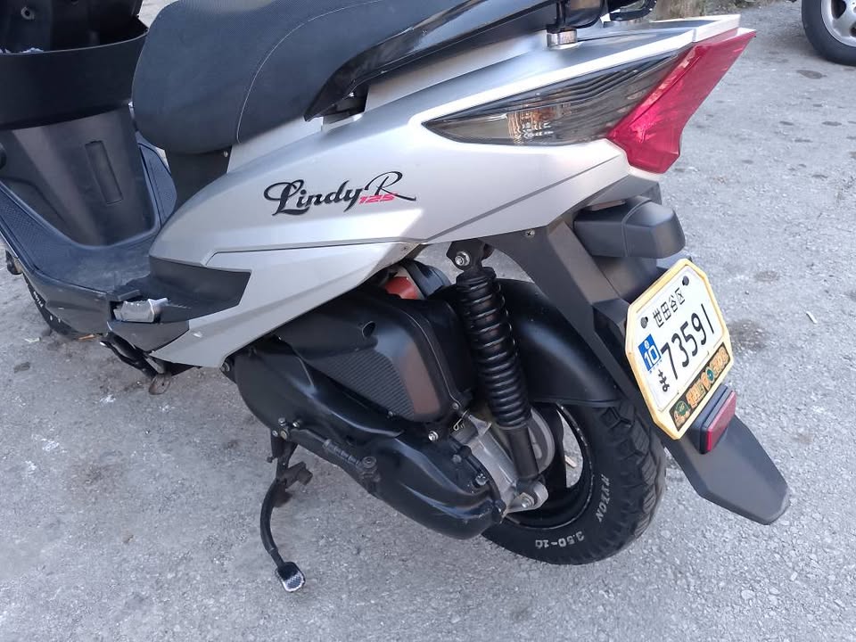 LINDY FOR SALE