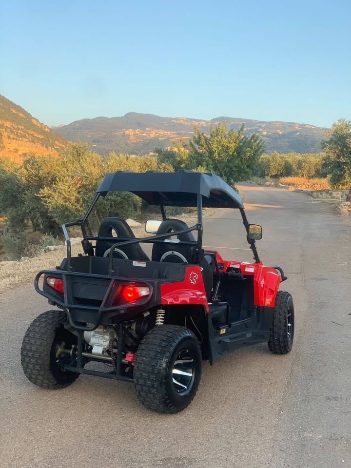 ATV UTV for Sale