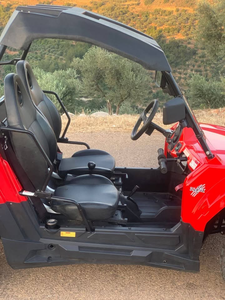 ATV UTV for Sale