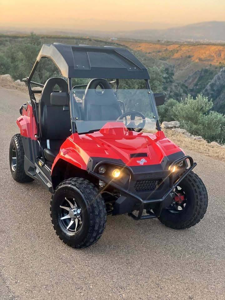ATV UTV for Sale