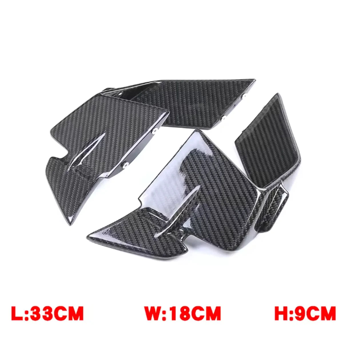 Premium Dry Carbon Fiber Aerodynamic Winglets for BMW S1000RR 2023-2024 Motorcycle