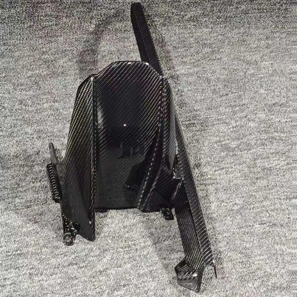 BMW S1000RR S1000R M1000RR Dry Carbon Fiber Rear Hugger Fender Protector