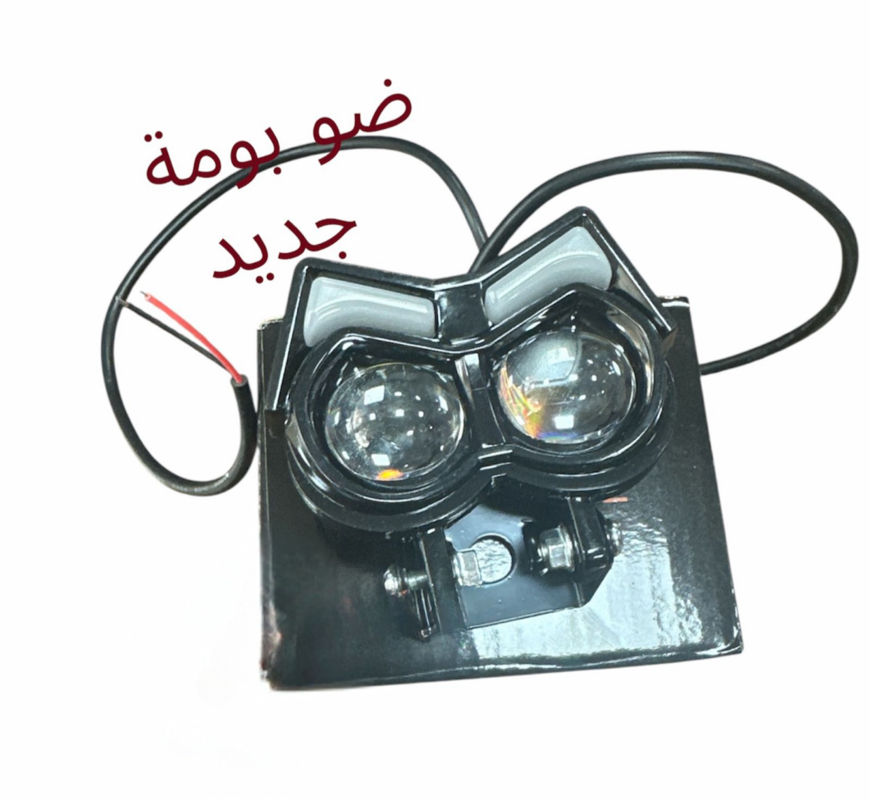DAW BOUME JDID-ضو بومي جديد