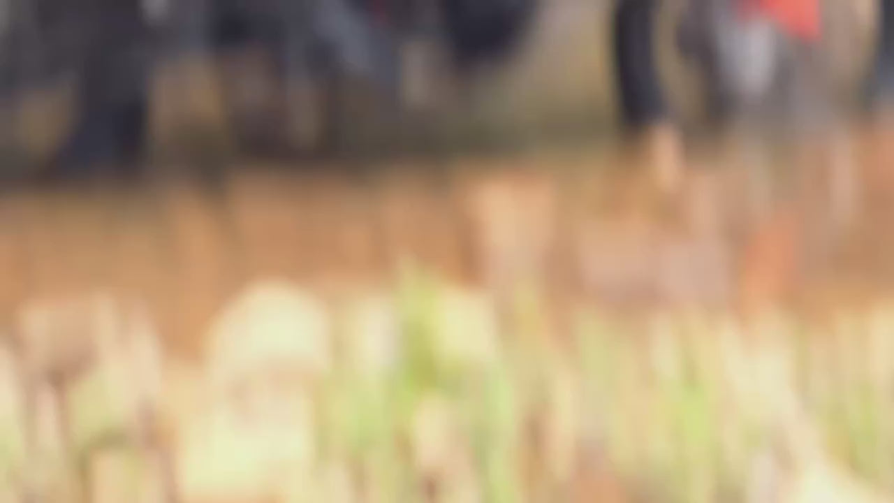 Load video: Rhinowalk 36L Hard Shell Tactical Motorcycle Tail Bag – Universal Waterproof Rear Seat Luggage